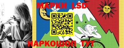 кокс Гатчина