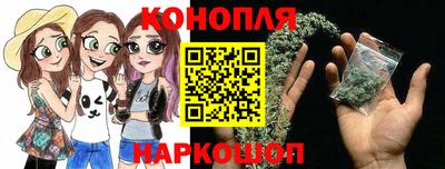 кокс Гатчина