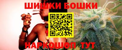 кокс Гатчина