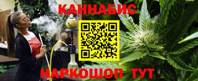 кокс Гатчина