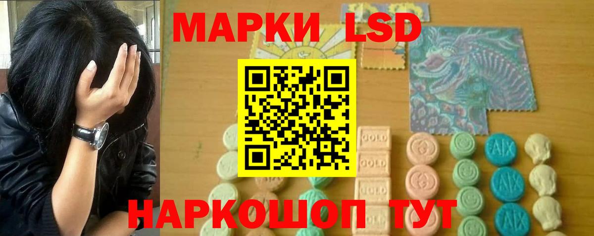 блэк спрут ТОР  LSD-25 экстази кислота  ЛСД экстази  Новый Уренгой  Вход с VPN  LSD-25 экстази ecstasy 