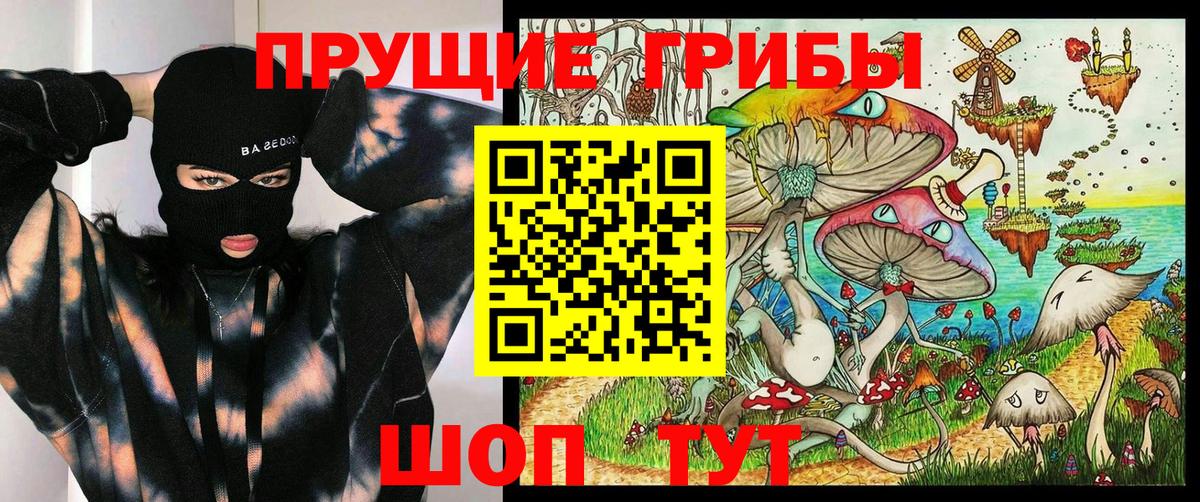 Псилоцибиновые грибы мицелий  Псилоцибиновые грибы Psilocybine cubensis  Новый Уренгой  Вход с VPN 