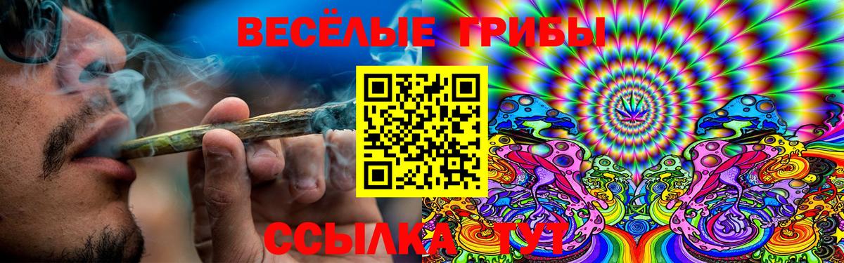 Галлюциногенные грибы прущие грибы Новый Уренгой